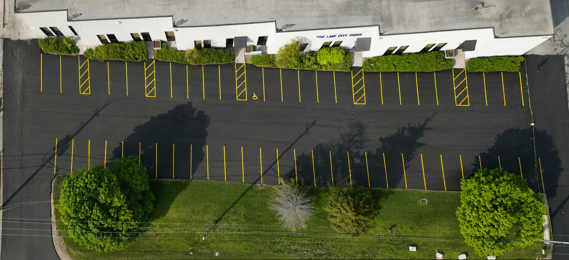 Line painting